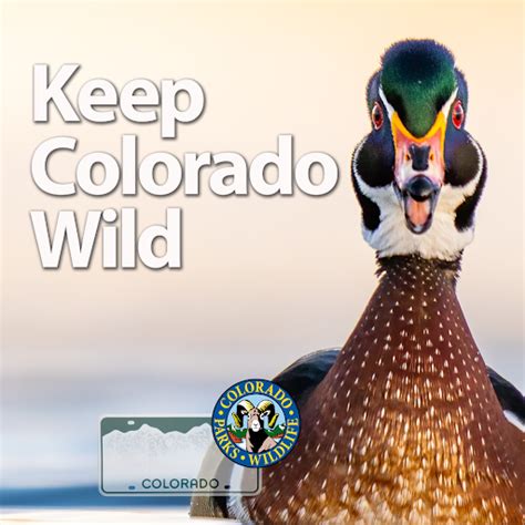 what is kcw pass colorado|Keep Colorado Wild 